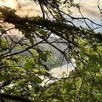 L'echappee Verte * Waulsort